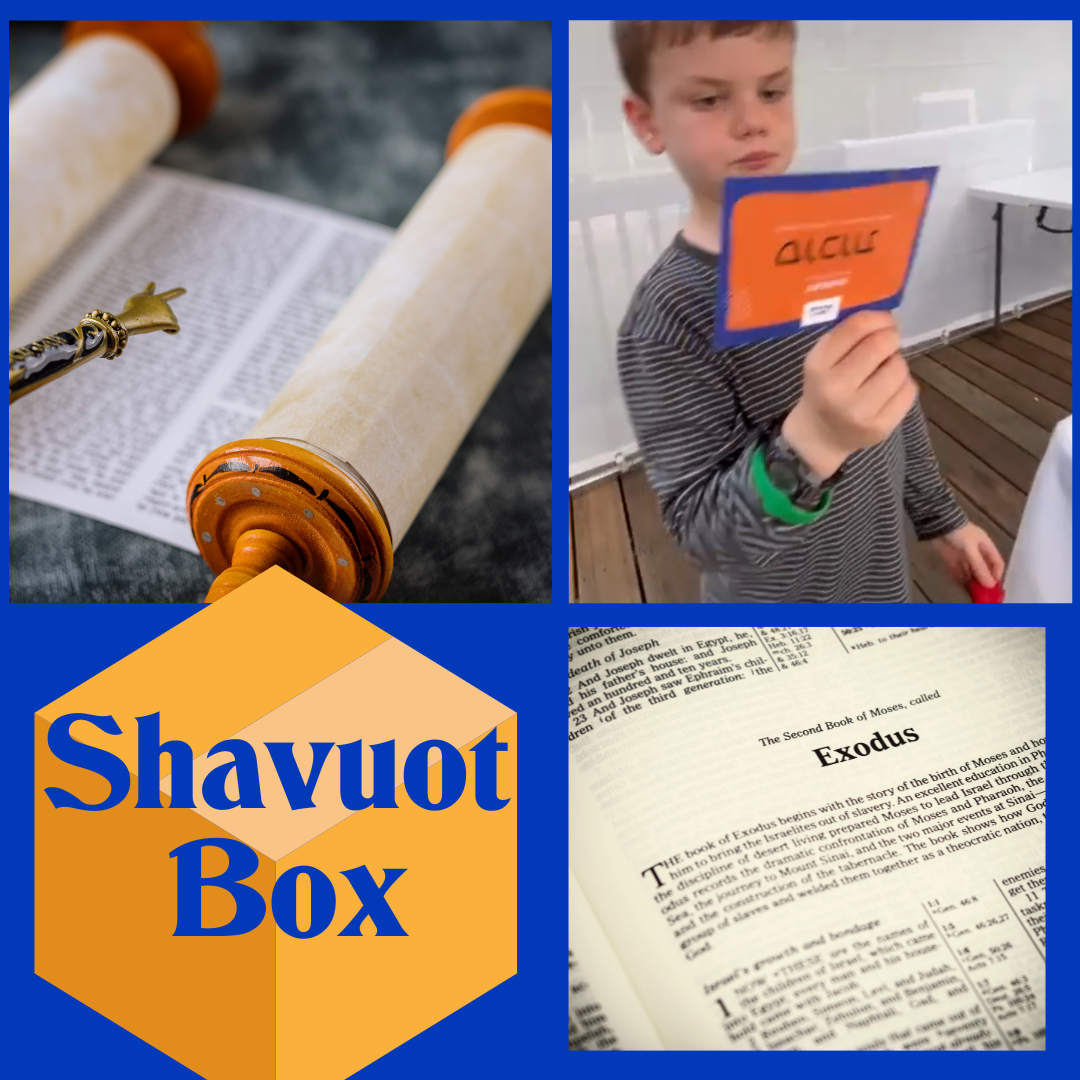 Shavuot Box