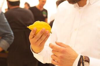 Person holding an etrog